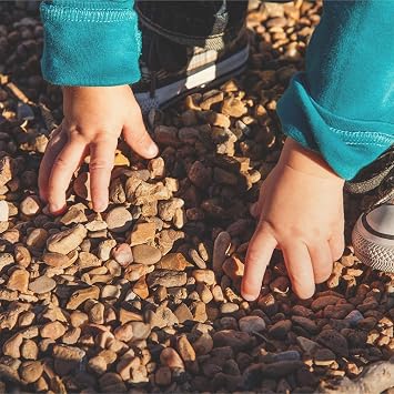 Southwest Boulder & Stone Landscape Rock and Pebble | 20 Pounds | Natural, Decorative Stones and Gravel for Landscaping, Gardening, Potted Plants, and More (Horse Creek, 1/2 Inch)