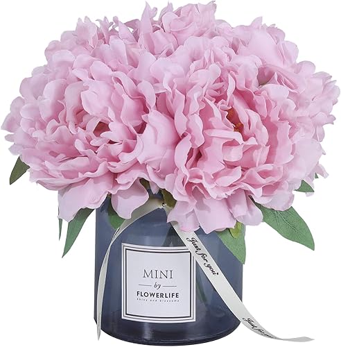 Miniatura 2 de Juego de florero de simulación con pequeña planta en maceta. Adecuado para la decoración de la sala de estar, mesa de comedor, oficina, hogar,