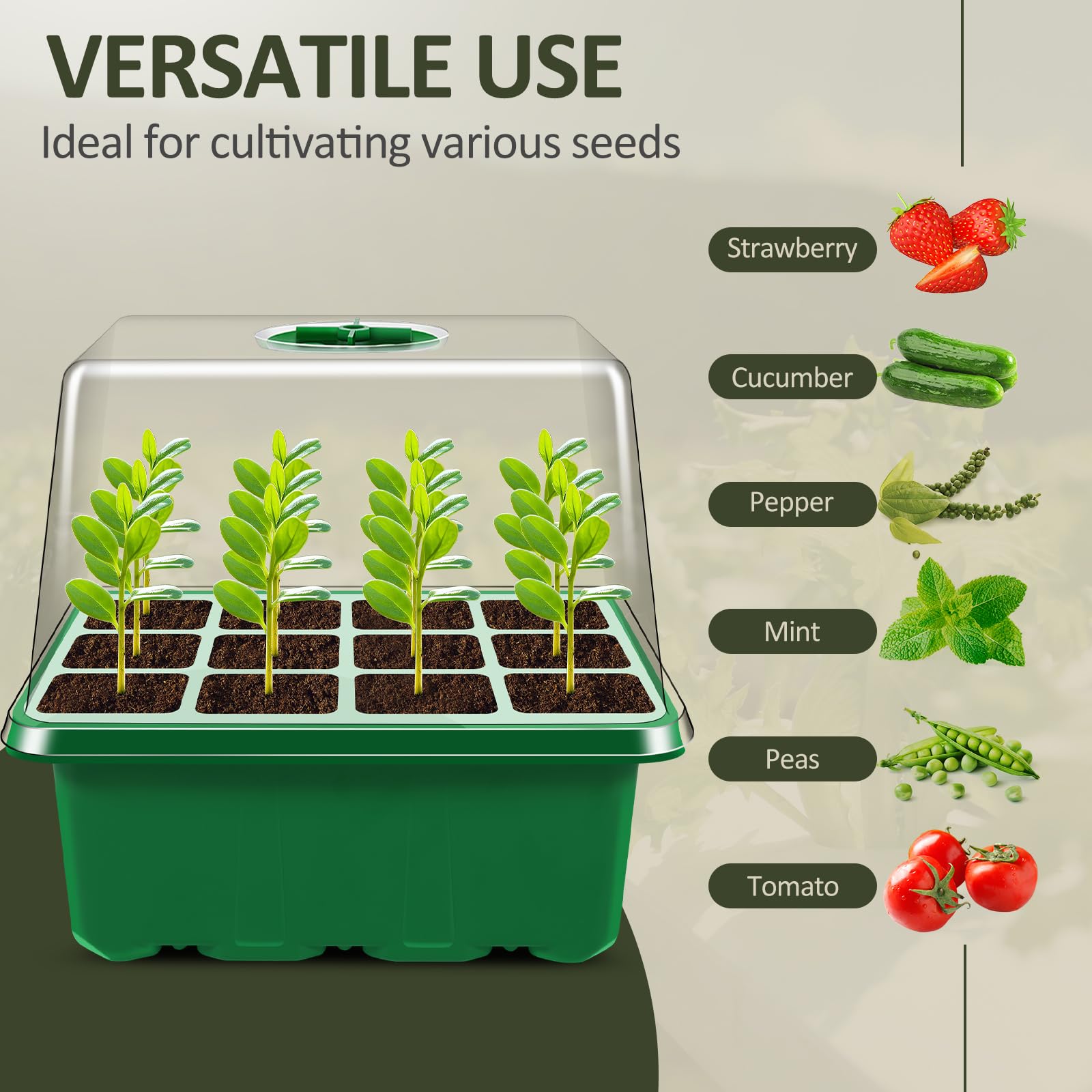 Mini Serre De Germination Avec 6 Plateaux 144 Cellules - Kit De Démarrage Semis Avec Couvercle, étiquettes Et Outils - 7