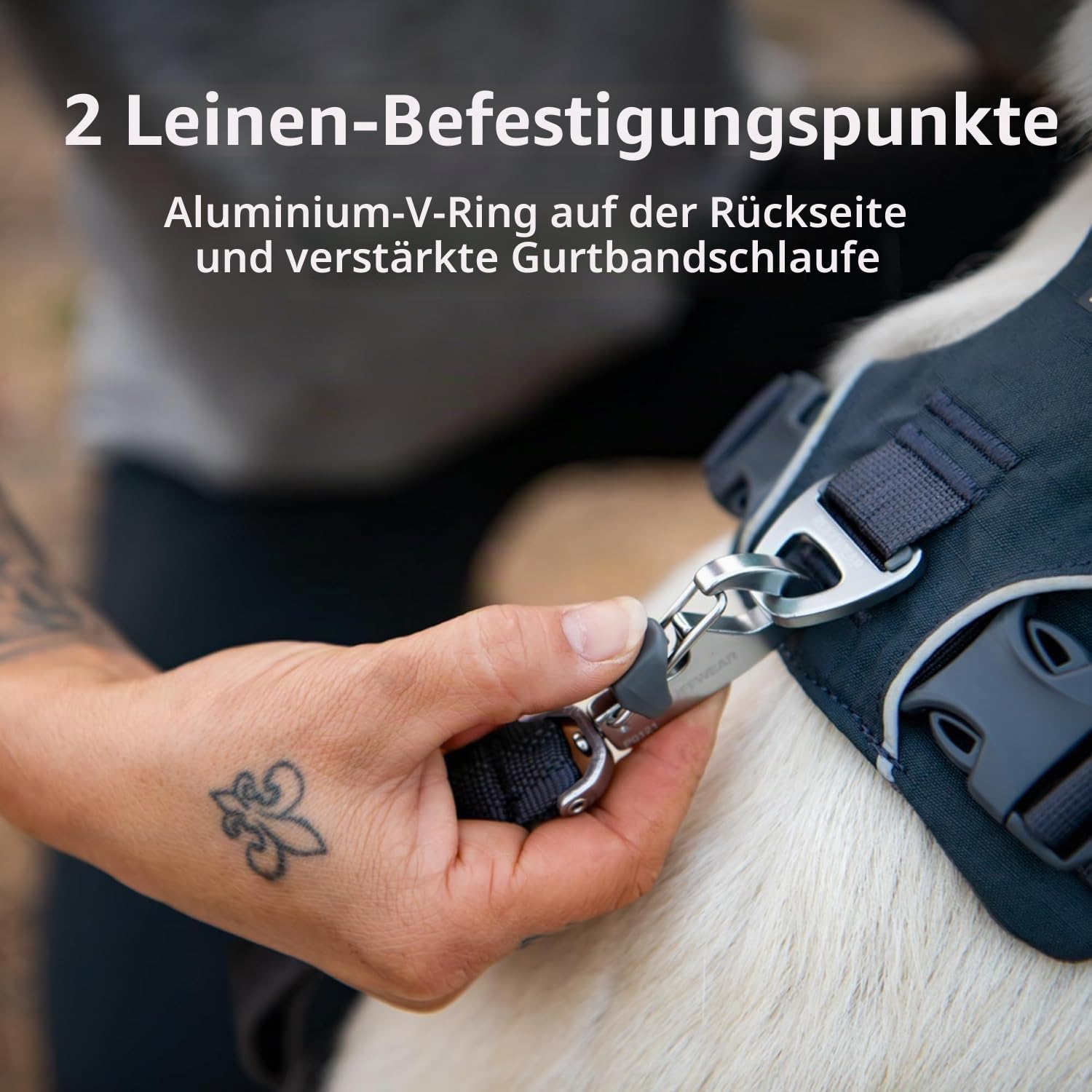 Ruffwear Front Range Hundegeschirr, reflektierendes Y-Geschirr, verstellbares, bequem gepolstertes Alltagsgeschirr für Spaziergänge und Hunderennen, 2 Leinenbefestigunge, Coastal Mountains XS