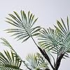 Product Photo 7