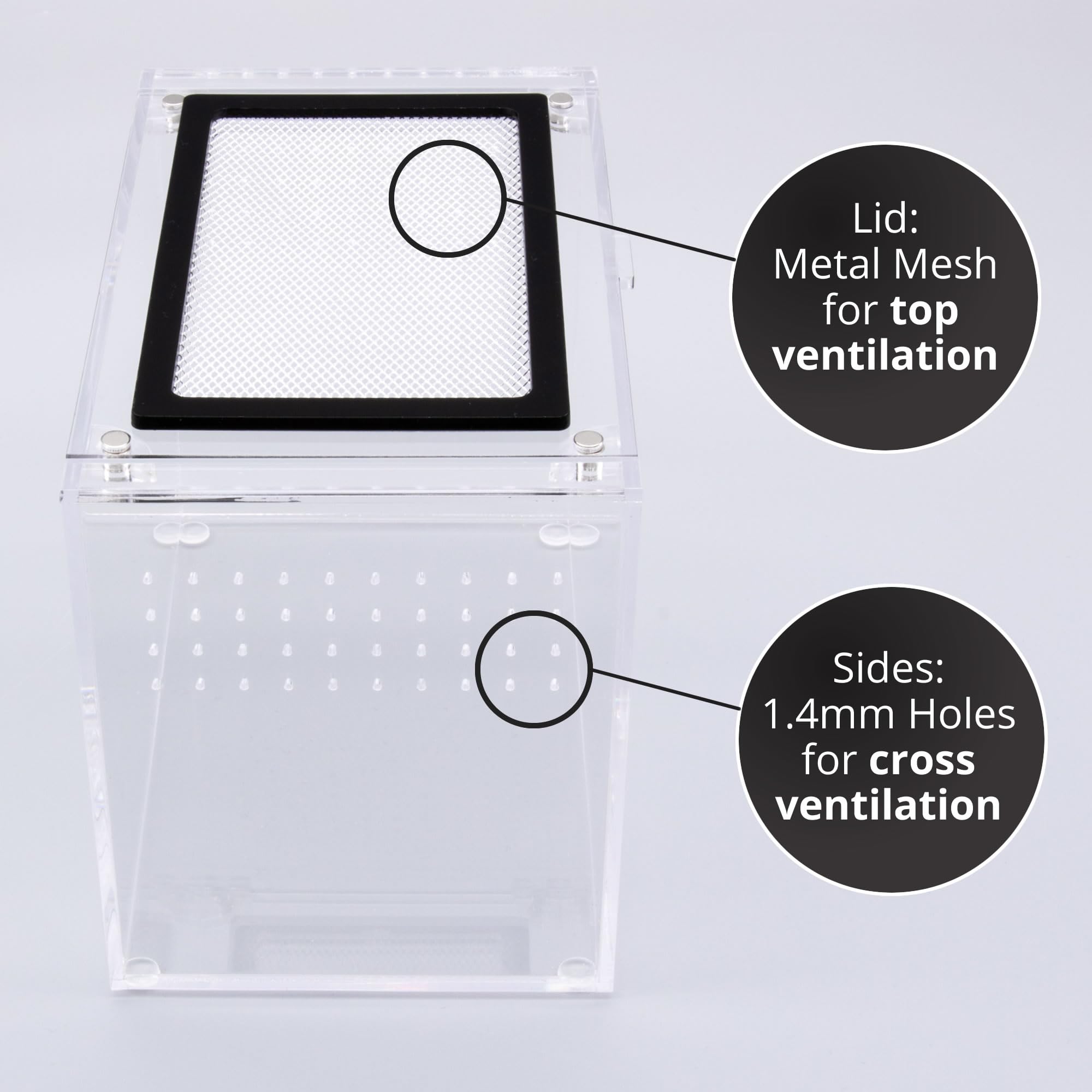 Spider, Tarantula, Scorpion, Stick Insect, Mantis, Invertebrate Enclosure, House, Vivarium with Metal Mesh Lid, Glued - Image 2