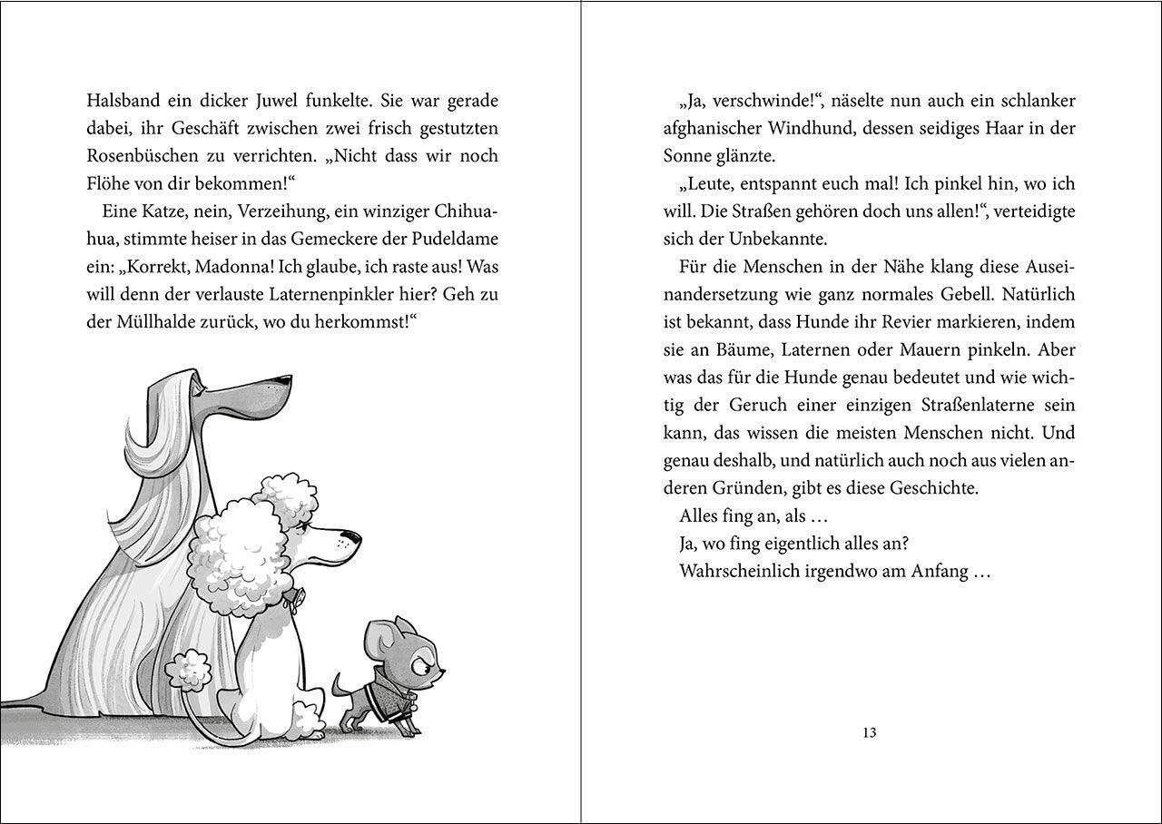 Die Straßengäng (Band 1) - Eine Pfote wäscht die andere: Erlebe die Abenteuer einer (fast) furchtlosen Gang - Kinderbuch mit urkomischen Tieren ab 8 Jahren