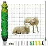 Product Photo 1