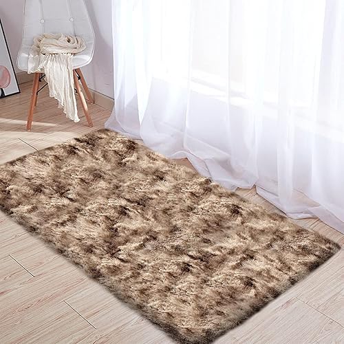 Rainlin Super Soft Fluffy Area Rugs for Bedroom Living Room Shaggy Floor Carpets 2x3 Small Shag Rug for Girls Boys Furry Home Decorative Cute Decor Rugs