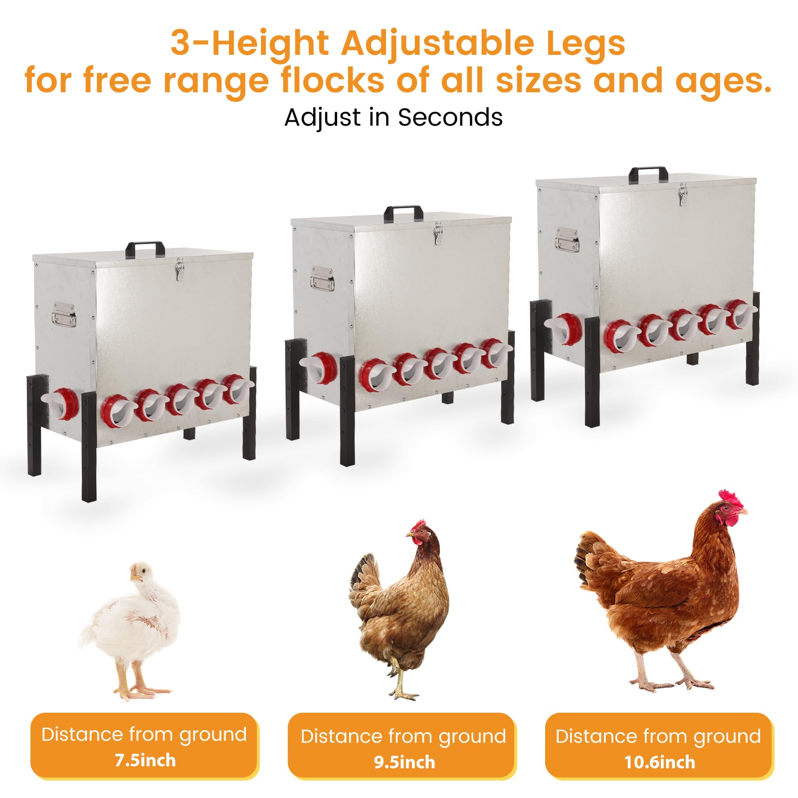 Comedero automático para gallinas, de Metal, de Gran Capacidad, con 12 Orificios y Patas Ajustables, para gallinas y Aves de Corral.