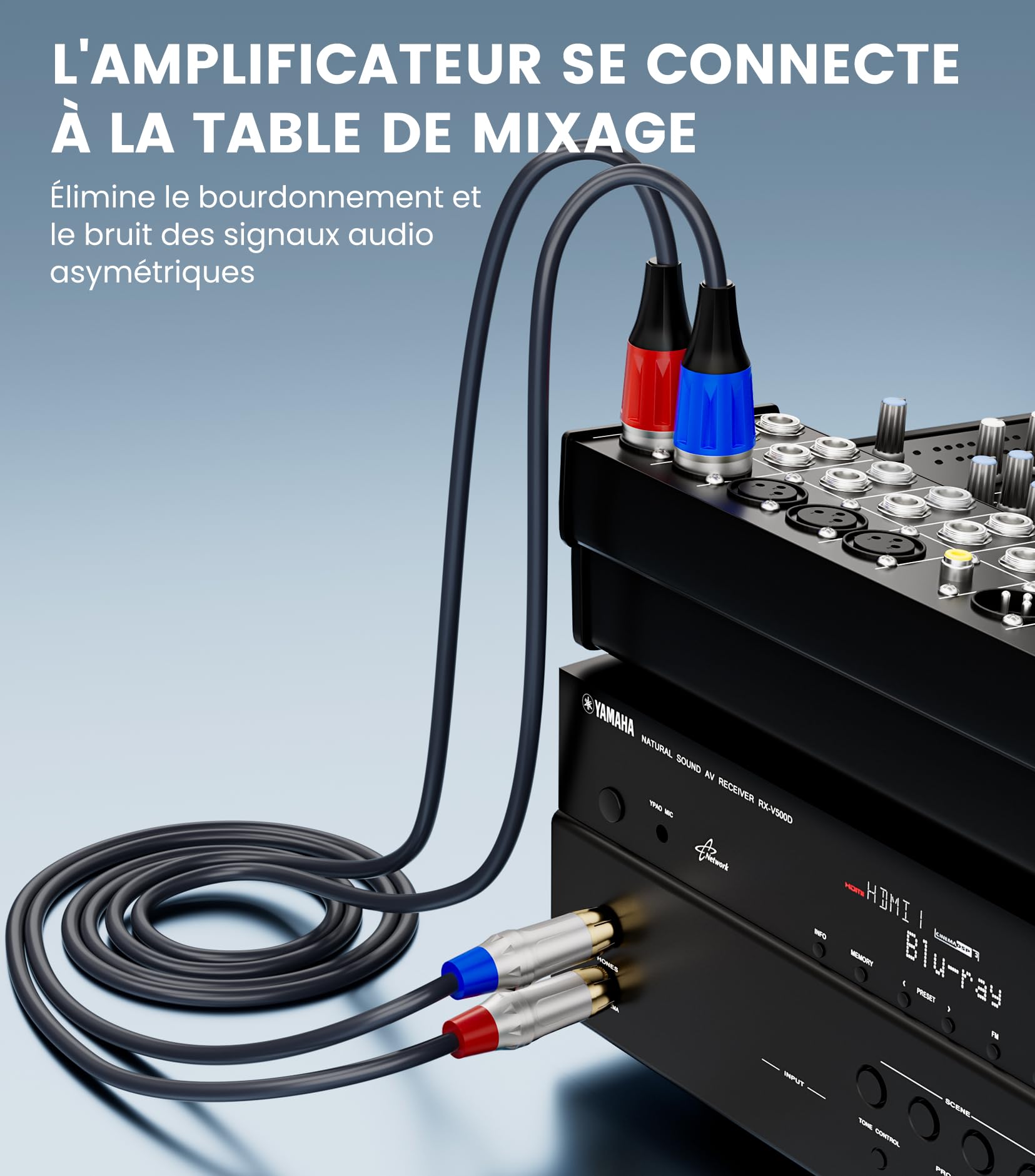 Tisino Câble double RCA vers XLR, 2 RCA vers 2 XLR mâles HiFi stéréo connexion microphone câble câble de chemin - 1 m