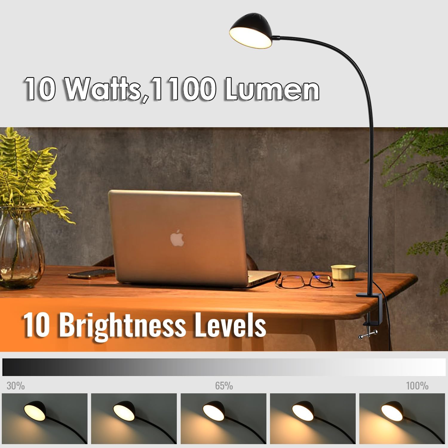 Long Gooseneck Clamp Lamp, Clip Desk Lamp with Clamp, 10W, 1100 LMS, 3 Color Modes, 10 Brightness Levels, 31 Inches Long Flaxible Gooseneck, Perfect for Craft, Reading, Home, Office