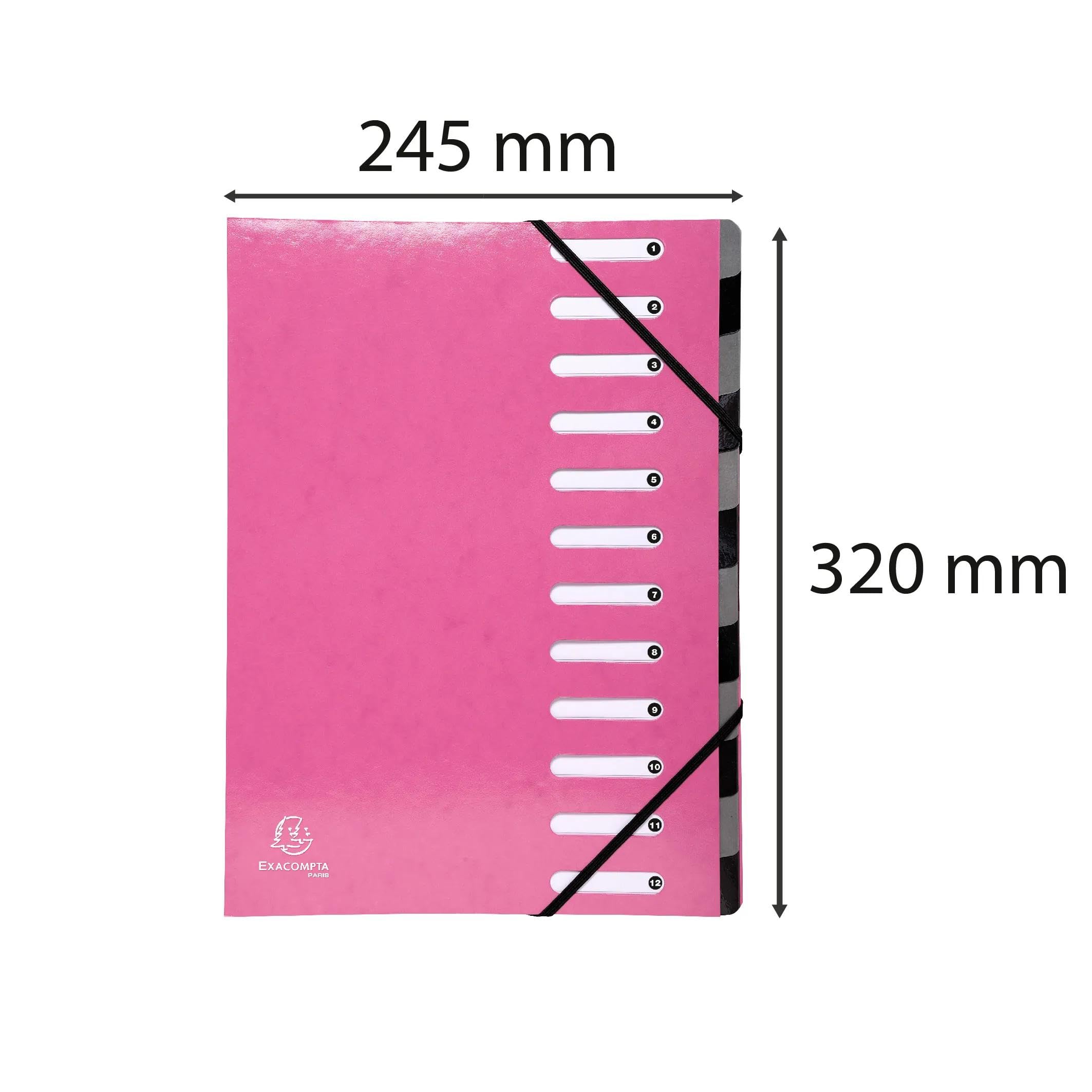 Exacompta - Ref. 53928E HARMONIKA Iderama - Caja de 6 clasificadores con gomas y ventanas cortadas - Espalda extensible - en tarjeta brillante con película - 12 compartimentos -dim 24,5 x 32 cm - A4 -