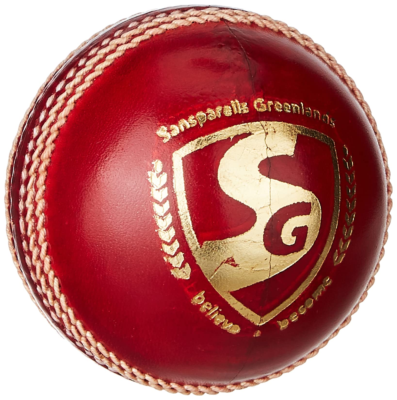SG01CR120019 Leather Cricket Ball, (Multicolour)-image-32