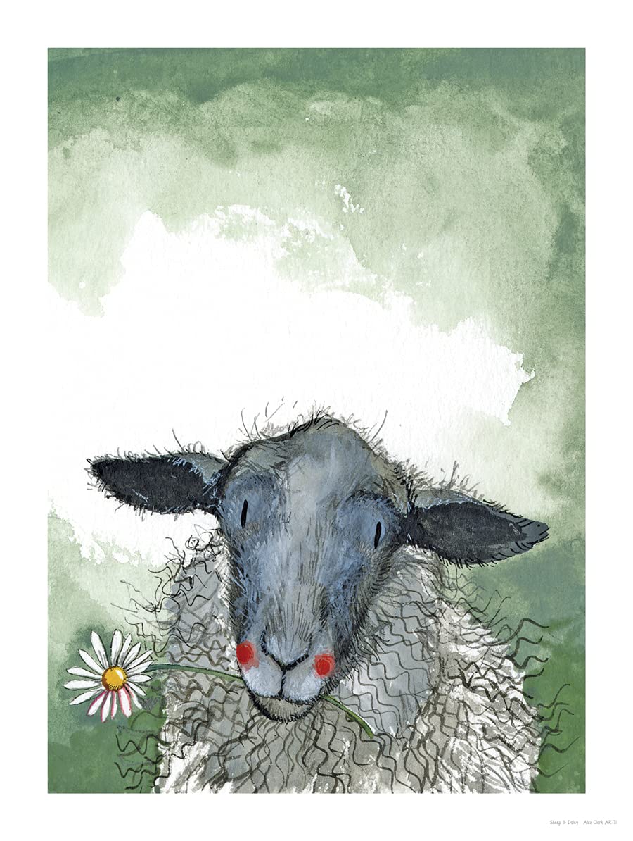 Alex Clark Art Ltd Alex Clark Sheep And Daisy Art Print