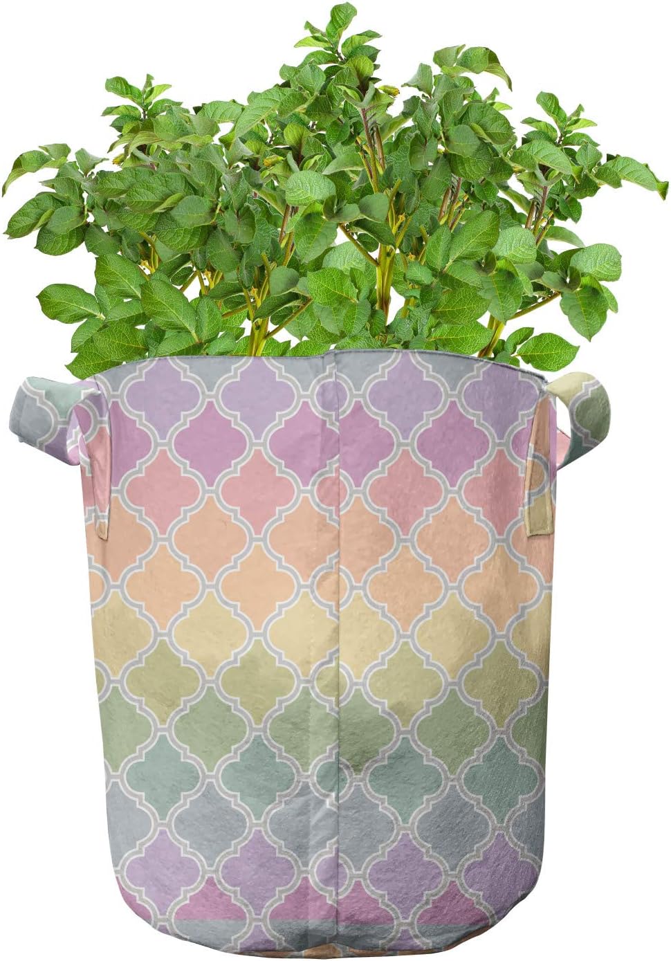 Lunarable Geometric Grow Bags 5-Pack, Ombre Colored Trellis, Heavyduty Fabric Pots with Handles for Plants, 7 Gallon, Multicolor