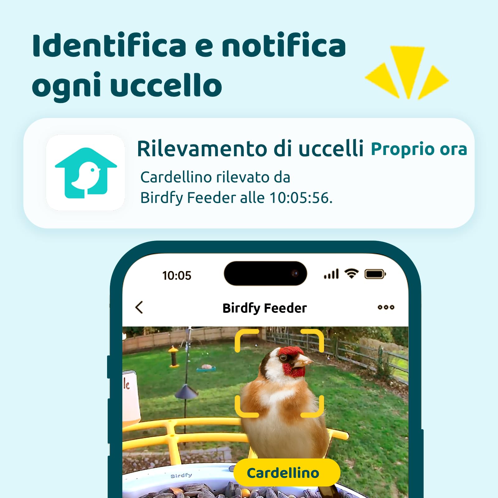 NETVUE Birdfy Pro Lite Vogelhaus mit Kamera, Vogelfutterstation mit Kamera & DIY Multifunktionsständer, Futterstationen für Wildvögel, Vogelfutterspender mit Meisenknödelhalter, Wasser/Gelee Feeder