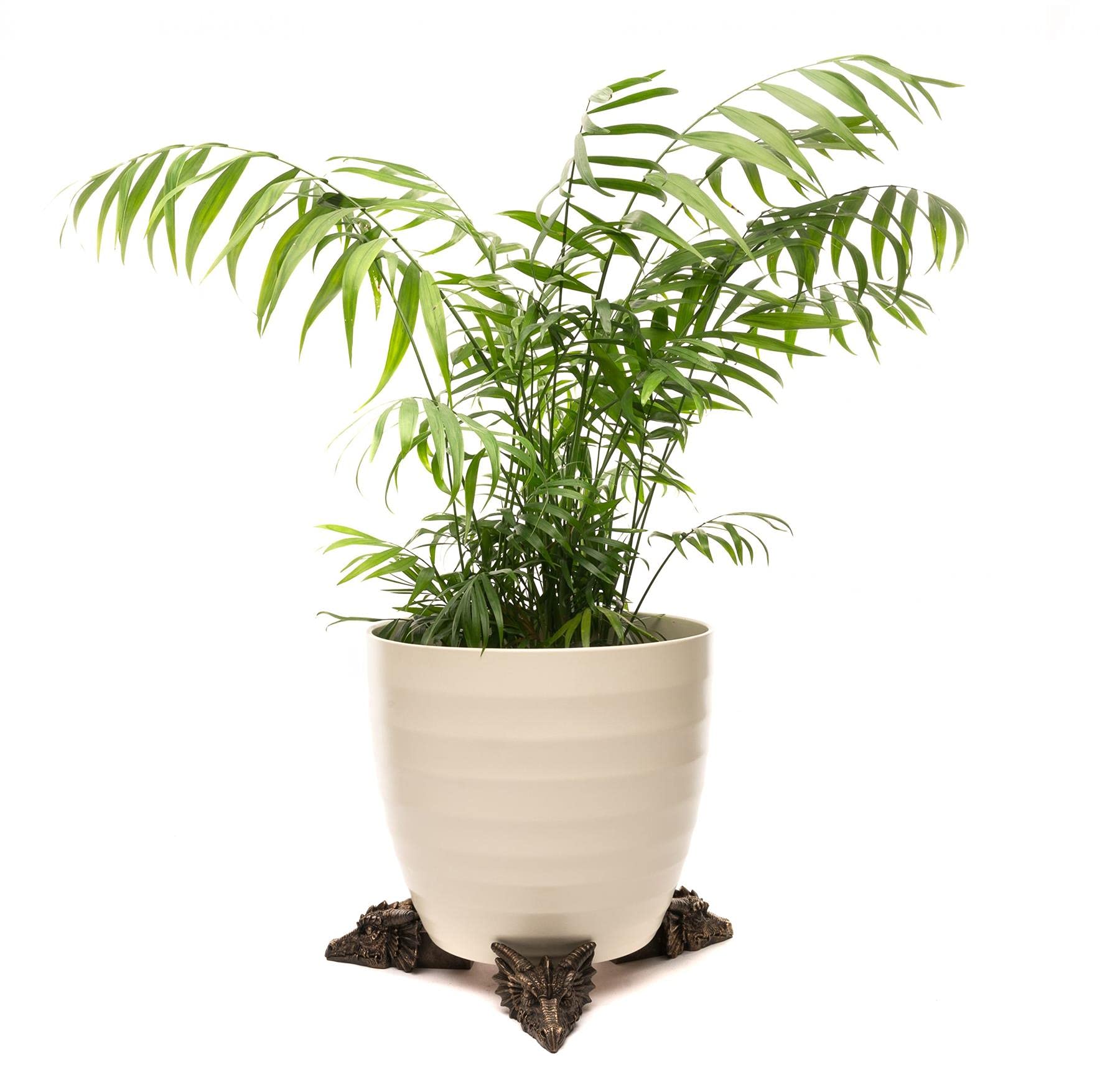 Potty Feet Bronze Decorative Dragon Themed Plant Pot Feet - Color - Set Of 3