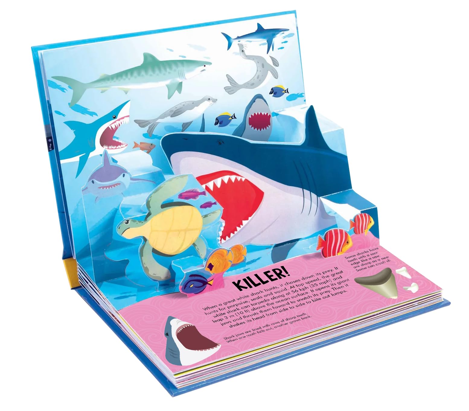 Nature Pop-Up! Sharks: 8 Pop-Up Undersea Scenes (Happy Fox Books) Pop-Up Shark Book for Kids Ages 6 and Up - Sea Life Scenes, Fun Facts, and Interactive Elements in a Sturdy Hardcover - PT02