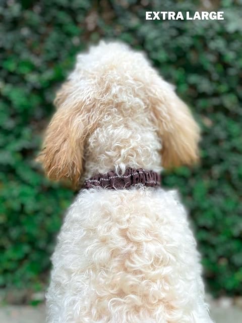 Foto 6 de 8 de Collar de perro resistente con asa, collar de nailon balístico resistente
