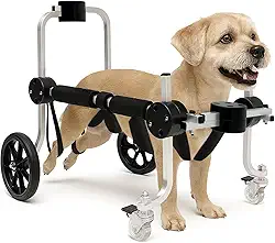 Cadeira De 4 Rodas Cachorro Tamanho P Pequeno Andador Cão Regulável Pet Best Soluções
