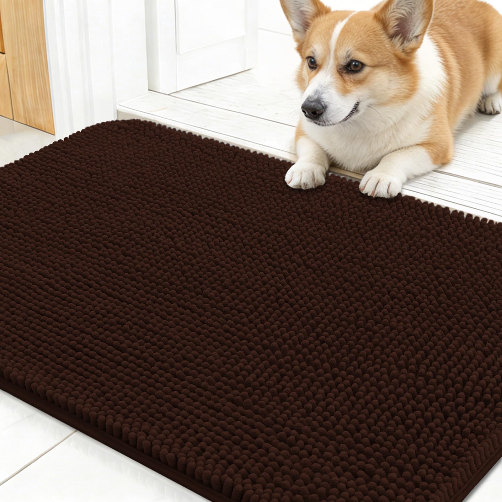 OLANLY Dog Door Mat for Muddy Paws 24x16, Super Absorbent Chenille Mud Mat