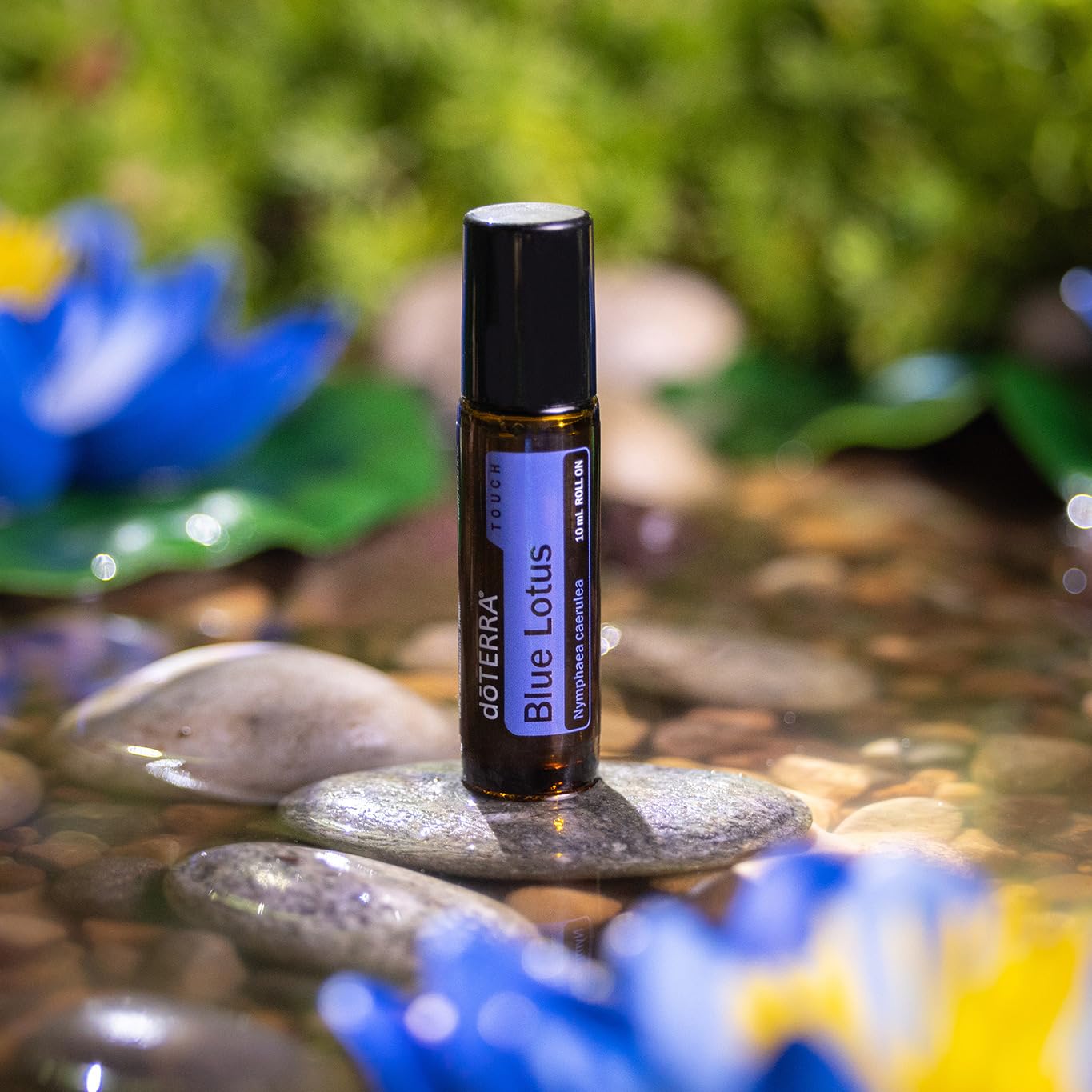 新品未使用【doTERRA 】Blue Lotus 10mL 数量限定品 Amazon.com: doTERRA Touch Blue Lotus Roll On 10 mL : Health