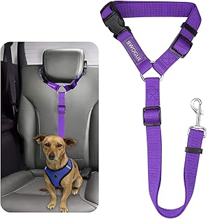 amazon dog items