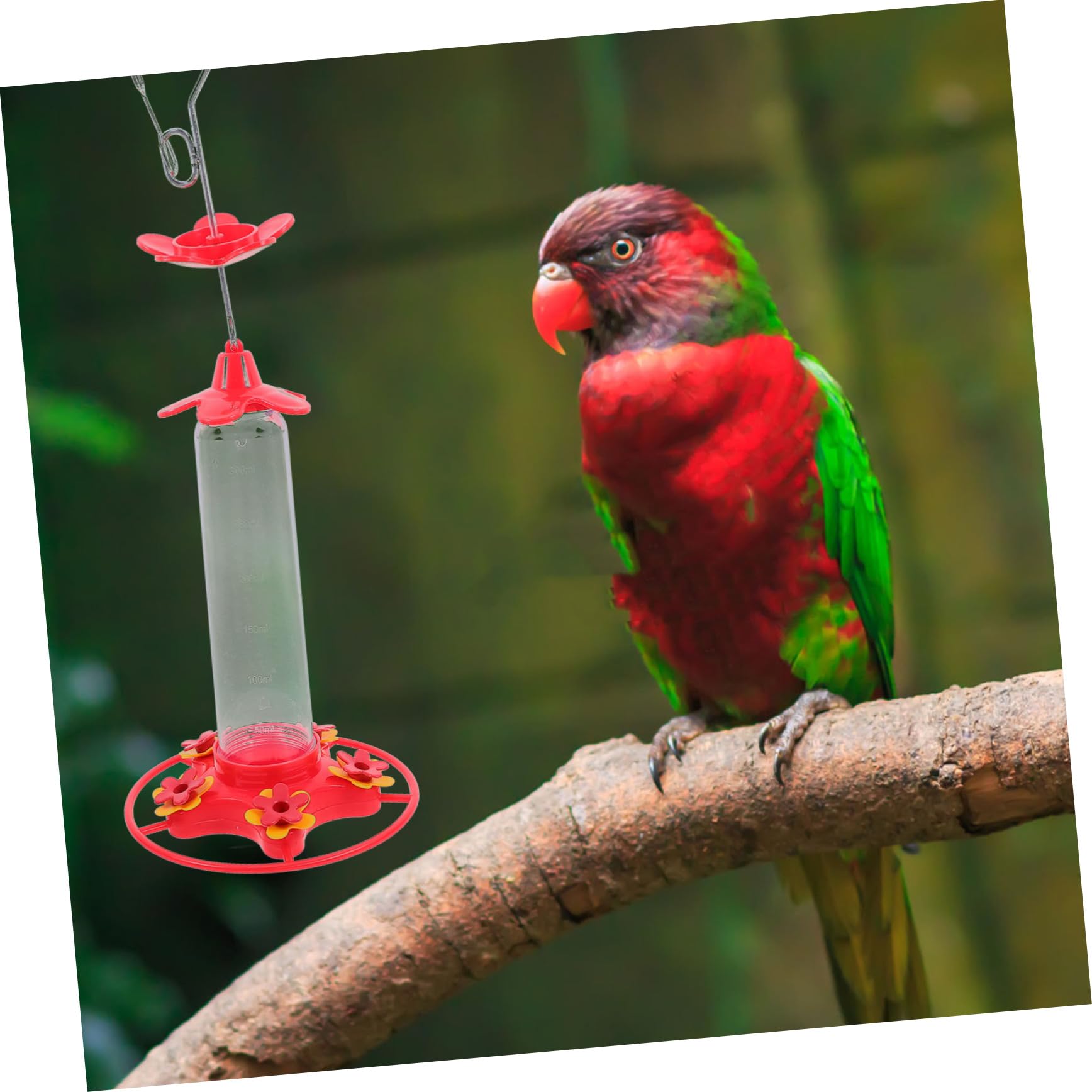 2pezzi Mangiatoia per Colibrì Sospesa Mangiatoia Decorativa per Uccelli Contenitore per Cibo per Uccelli da Giardino