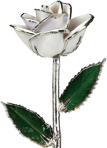 Rosa real bañada en platino blanco nieve de 11 pulgadas