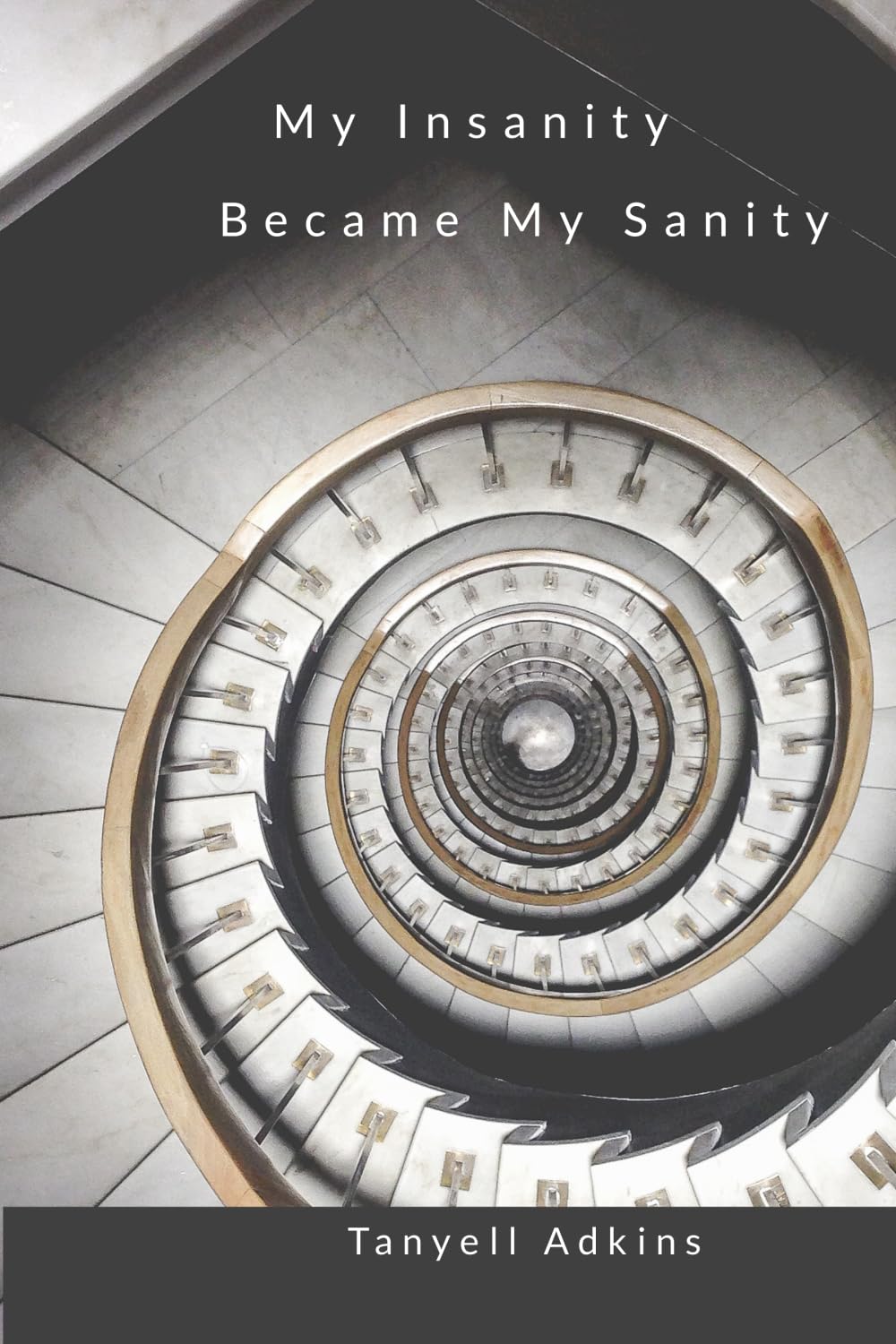 My Insanity Became My Sanity Volume I
