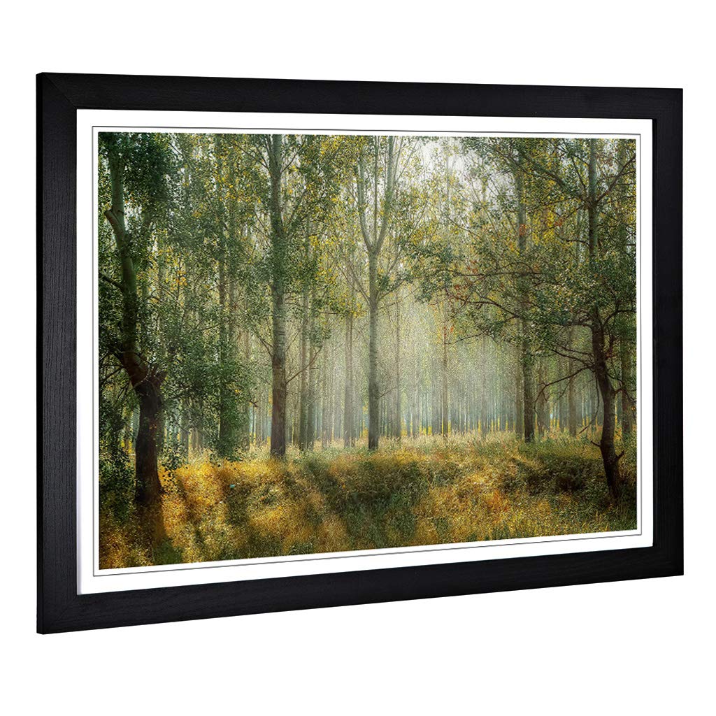 Big Box Art Framed Print of Landscape Forest Woodland View in The Spring Design | Wall Art Picture | Home Decor for Kitchen, Living Room, Bedroom, Hallway, Black, A2 / 24.5x18 Inch / 62x45cm