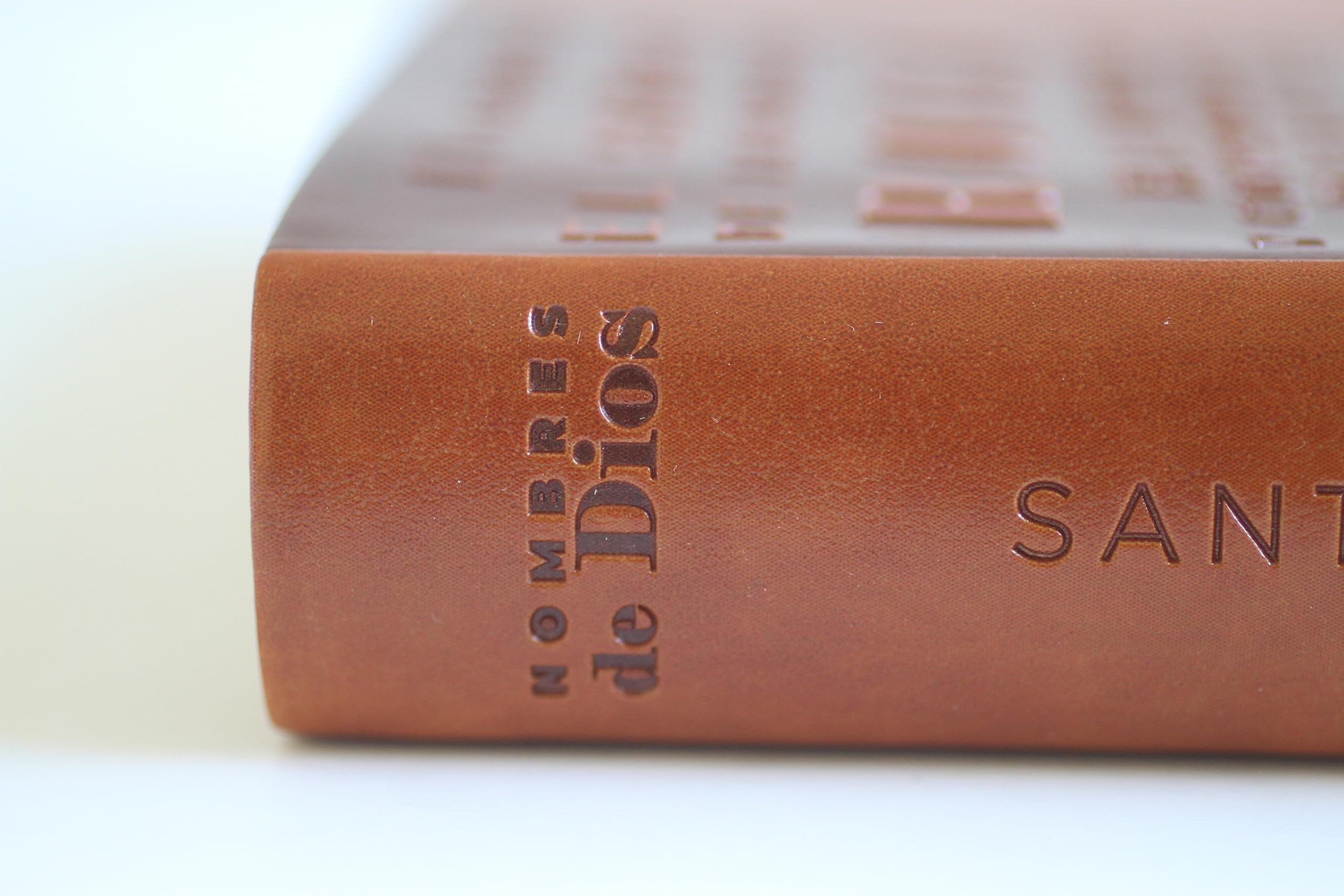 Santa Biblia / Holy Bible: Reina-Valera 1960, canelacon, simil piel, con nombres de Dios / Reina-valera 1960, Brown, Leathersoft With Names of God