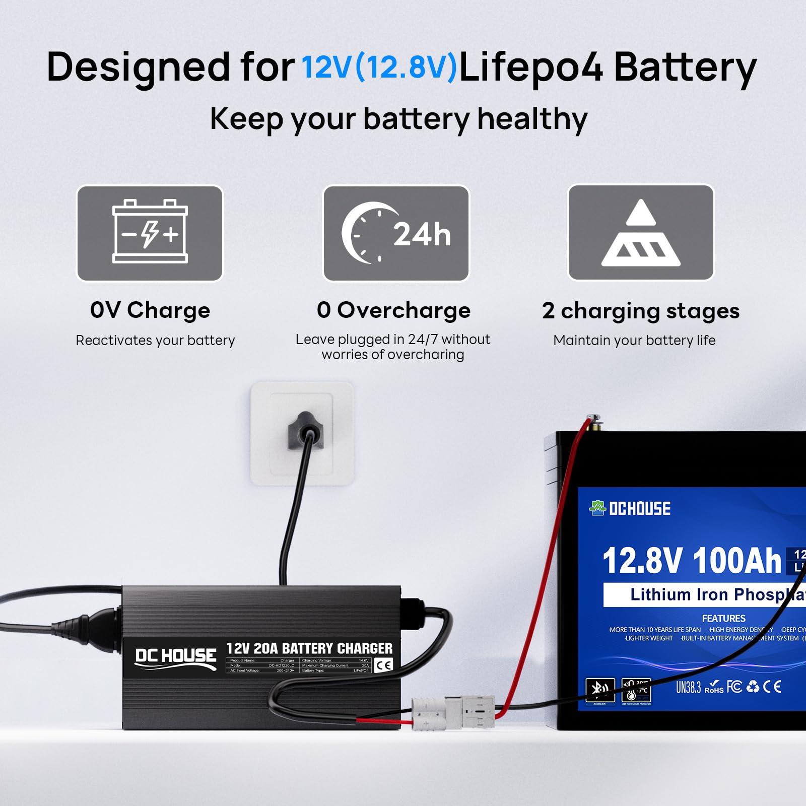 DCHOUSE Caricabatterie al litio da 12 V 20 A, connettore rapido e indicatore LED | Caricabatterie LiFePO4 da 14,6 V, ricarica rapida intelligente da 300 W per batterie solari e domestiche