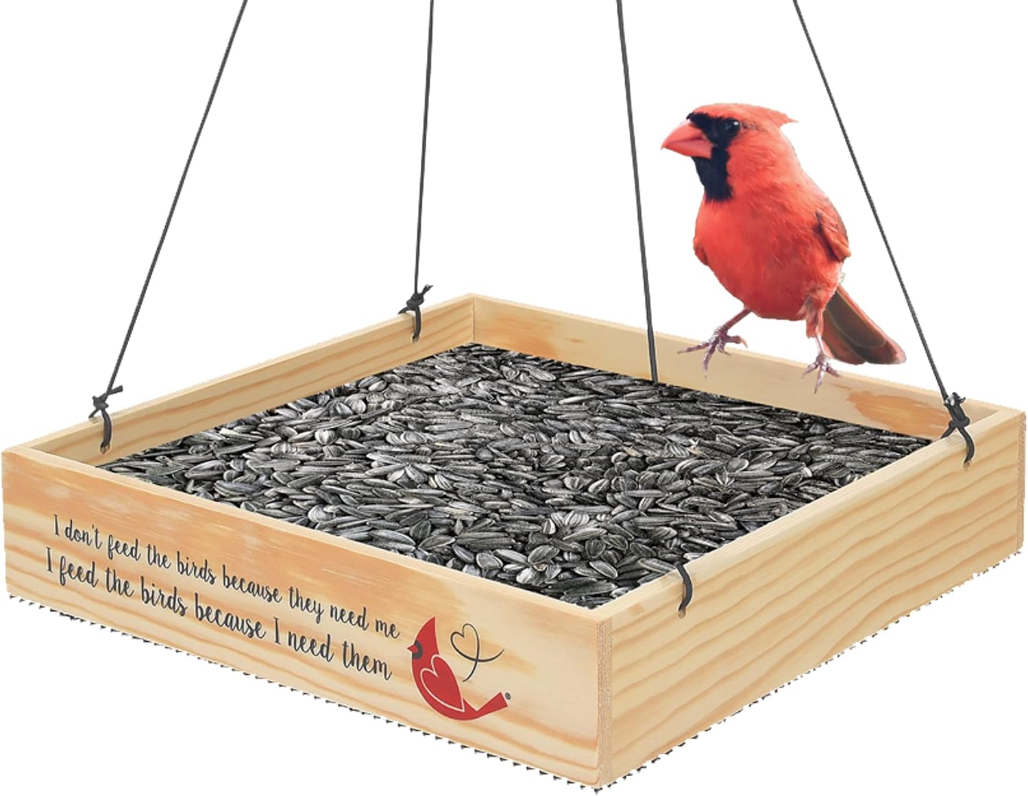 Enesco Izzy and Oliver Caring Cardinals Hanging Square Tray Bird Feeder, 9.8 by 9.8 Inch, Multicolor