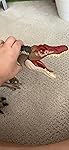 Review Image by 🦖🦕 🦖🦕