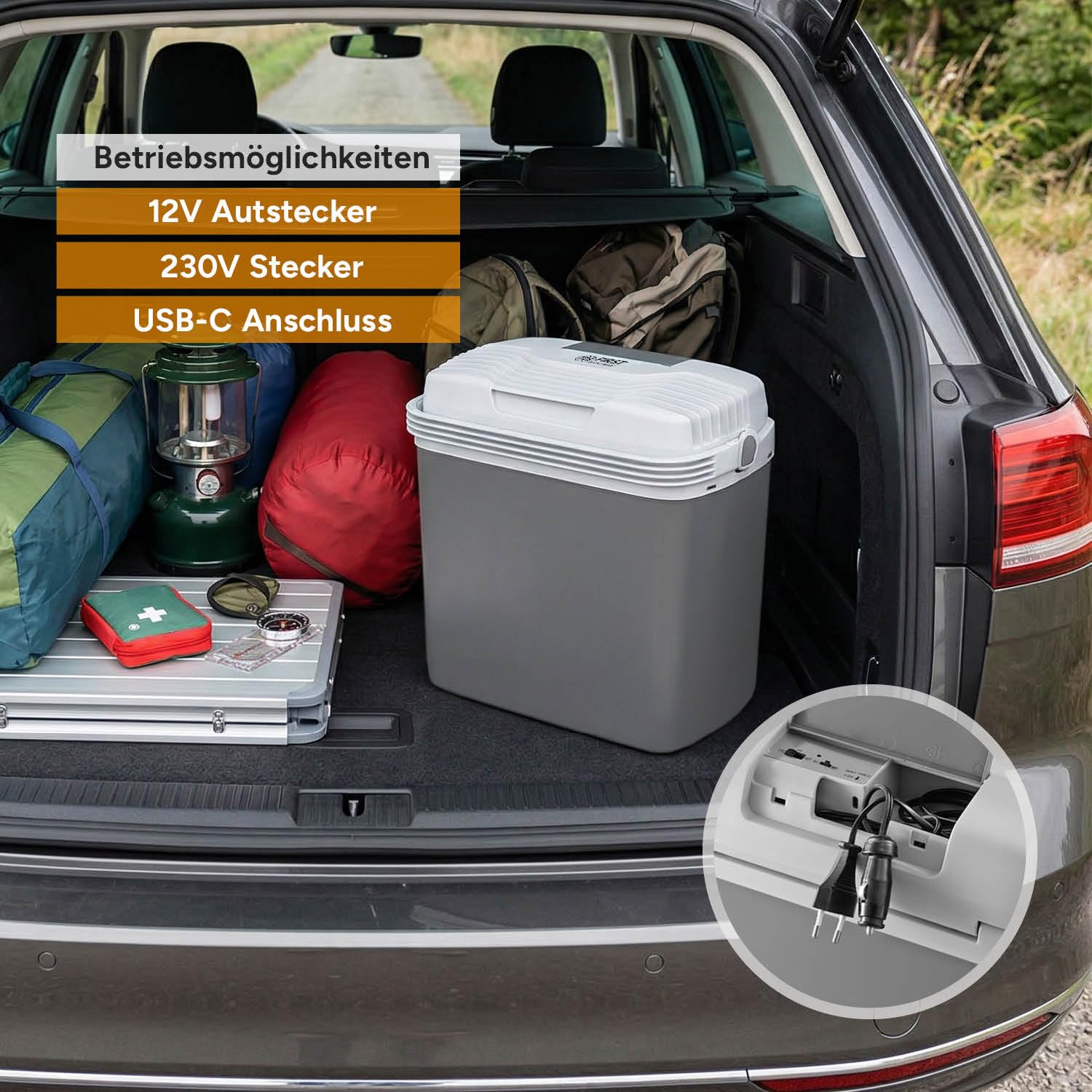 TZS First Austria Thermoelektrische Kühlbox 20L 12V/230V/USB-C PD 3.0 Kühlen Wärmen Grau