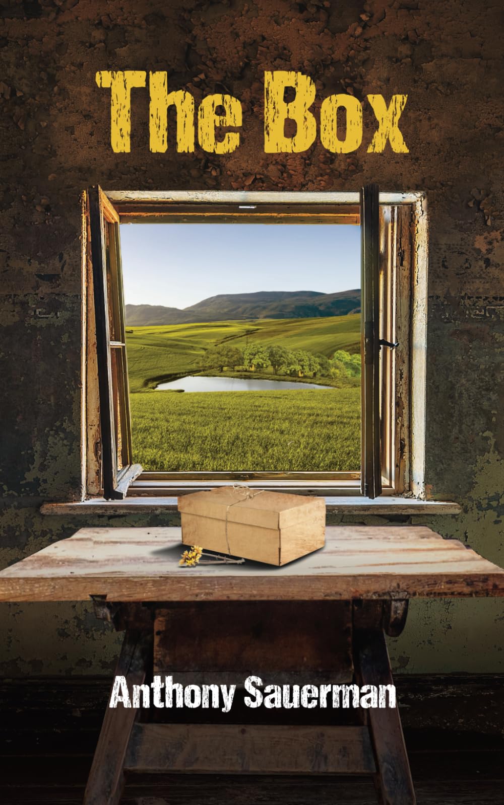 The Box: A story of friendship and love in the face of adversity