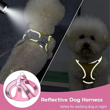 Soft Small Dog Harness and Leash Set Mesh Puppy Harnesses Leash Easy Walk Dog Vest Adjustable Reflective No Pull Dogs Harnesses for Small Dogs Cats (Pink, M)