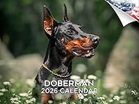 Vista 227 de Razas de Perros 2017