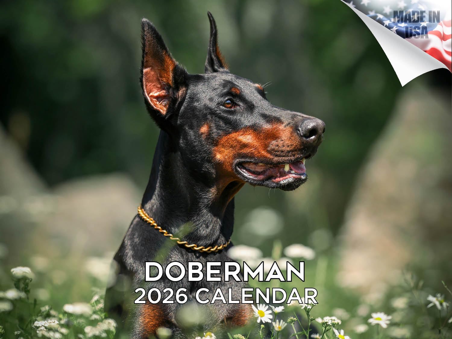 Kalendarz dobermana 2024 2025 - miesięczny kalendarz ścienny rasy psów - 30 x 45 cm otwarty - gruby papier bez przebarwień - prezent - akademicki planer nauczyciela kalendarz organizowanie i