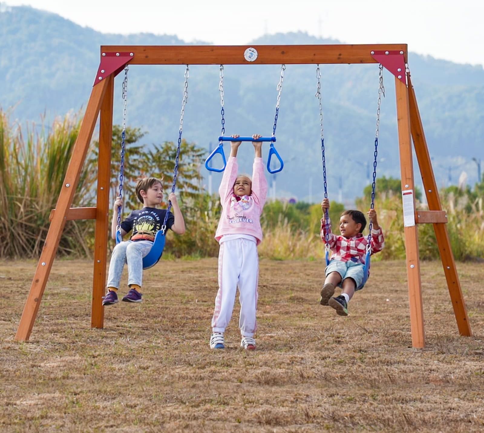 - Dolphin Playground Wooden Swing Sets for Backyard, Family DIY Kit for Any Swings, Outdoor Playset for Kids with Trapeze Swing Bar and 2 Belt Swings, Heavy Duty Playground Accessories, Ages 3-10