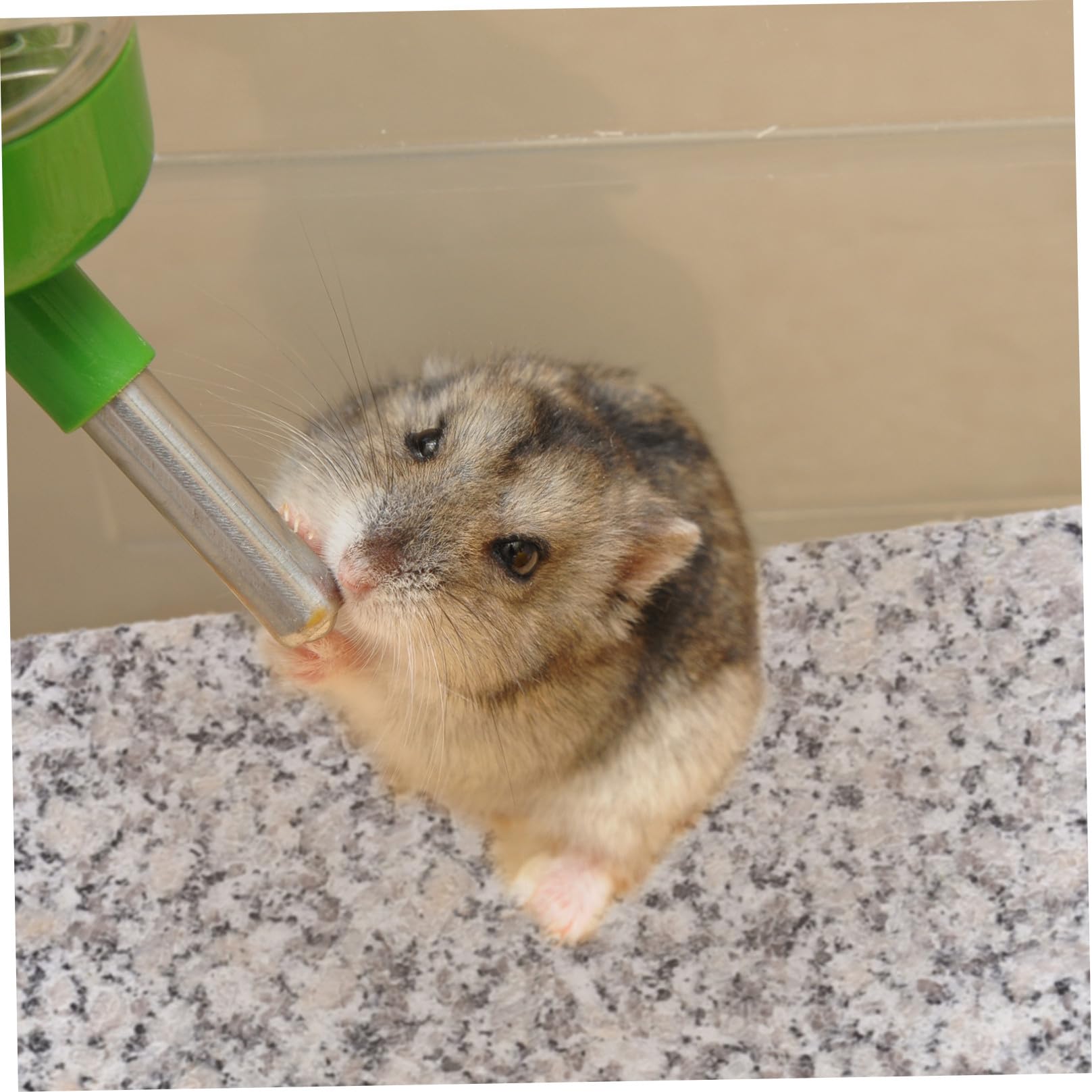 Piastra Refrigerante in Marmo per Animali Domestici Tavola Rinfrescante per Criceti Media Accessorio Estivo Portatile per Benessere dei Piccoli Roditori