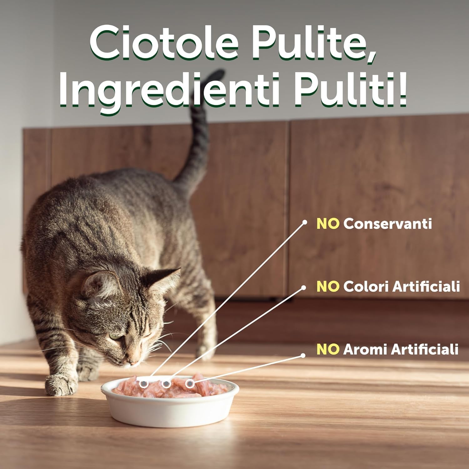 Nature's Protection Superior Care Umido gatti sterilizzati, Tonno 24 x 70 g | Topper morbido in salsa succosa, Alimentazione quotidiana, Gatti adulti da interno, Ricco di proteine, 24 buste