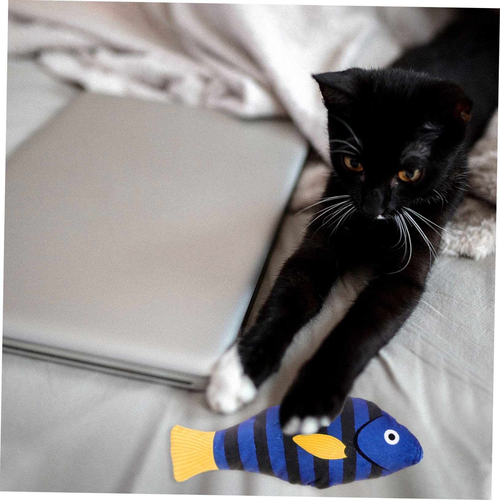 Kisangel 12stücke Interaktive Katzen-spielzeuge Aus Plüsch Fischform Squeaky Katzenminze Spielzeug Für Haustiere Für Aktives Spielen des Natürlichen Jagdverhaltens