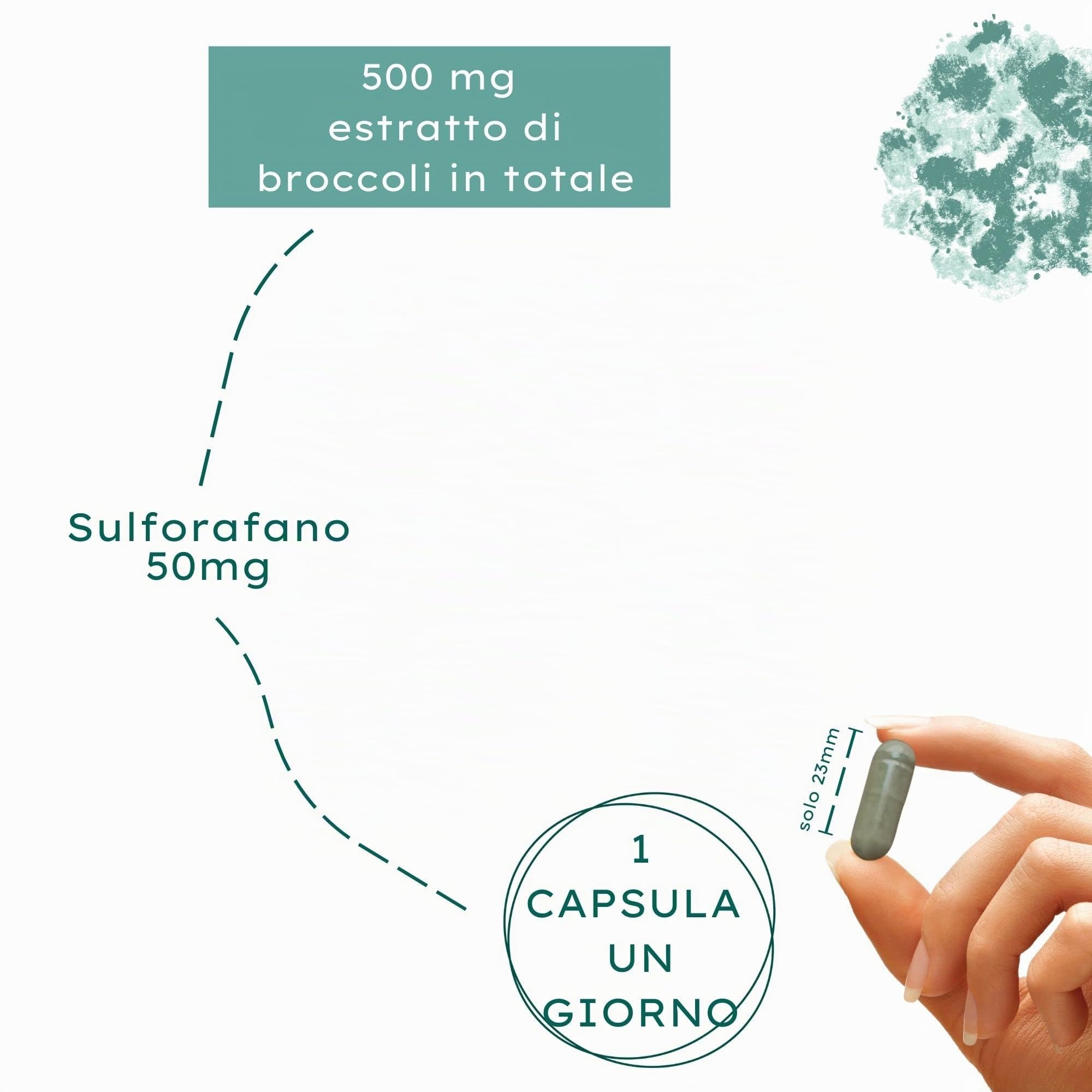 Nature Basics® sulforafano naturale (estratto di broccoli) certificato e sostenibile | 180 capsule ad alto dosaggio | 500 mg per capsula con 50 mg di sulforafano