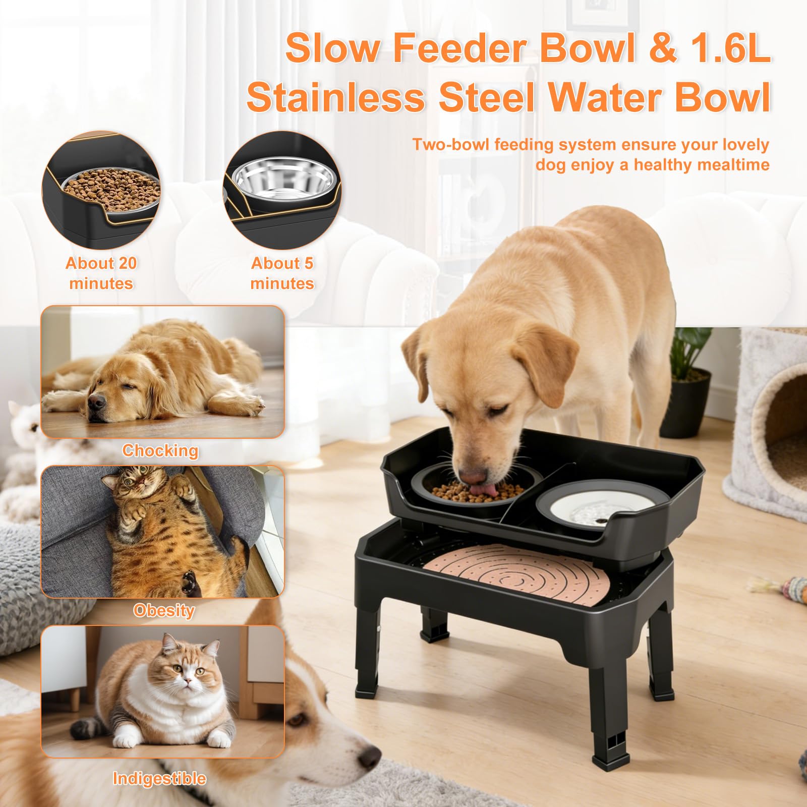 Gamelle surélevée pour chien avec support, gamelles surélevées réglables avec plaque à lécher et mangeoire lente pour animaux de compagnie pour chiens de petite, moyenne et grande taille