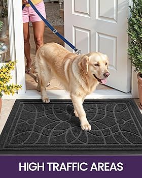 Amazon.com : DEXI Front Door Mat Outside Entrance, Heavy Duty Non