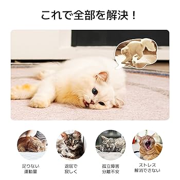 キャットフル　上村松園　他３点 キャットフル 上村松園 他3点 キャットフル 上村松園 他3点