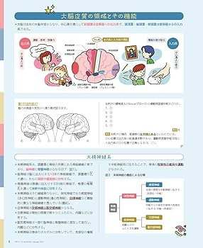 プチナース1年分➕ずぼかん ズボラな学生の看護実習本 ず
