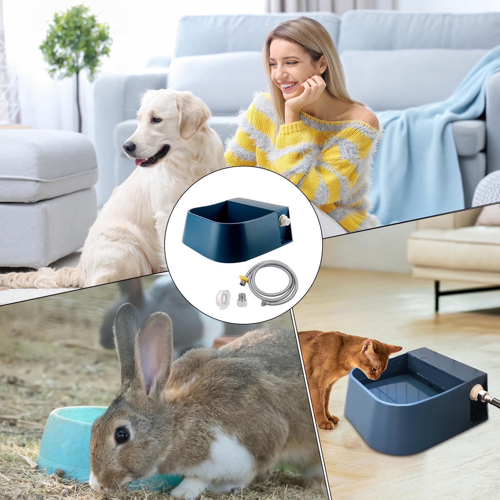 Gamelle d'eau rechargeable pour chien – Mangeoire automatique pour animaux