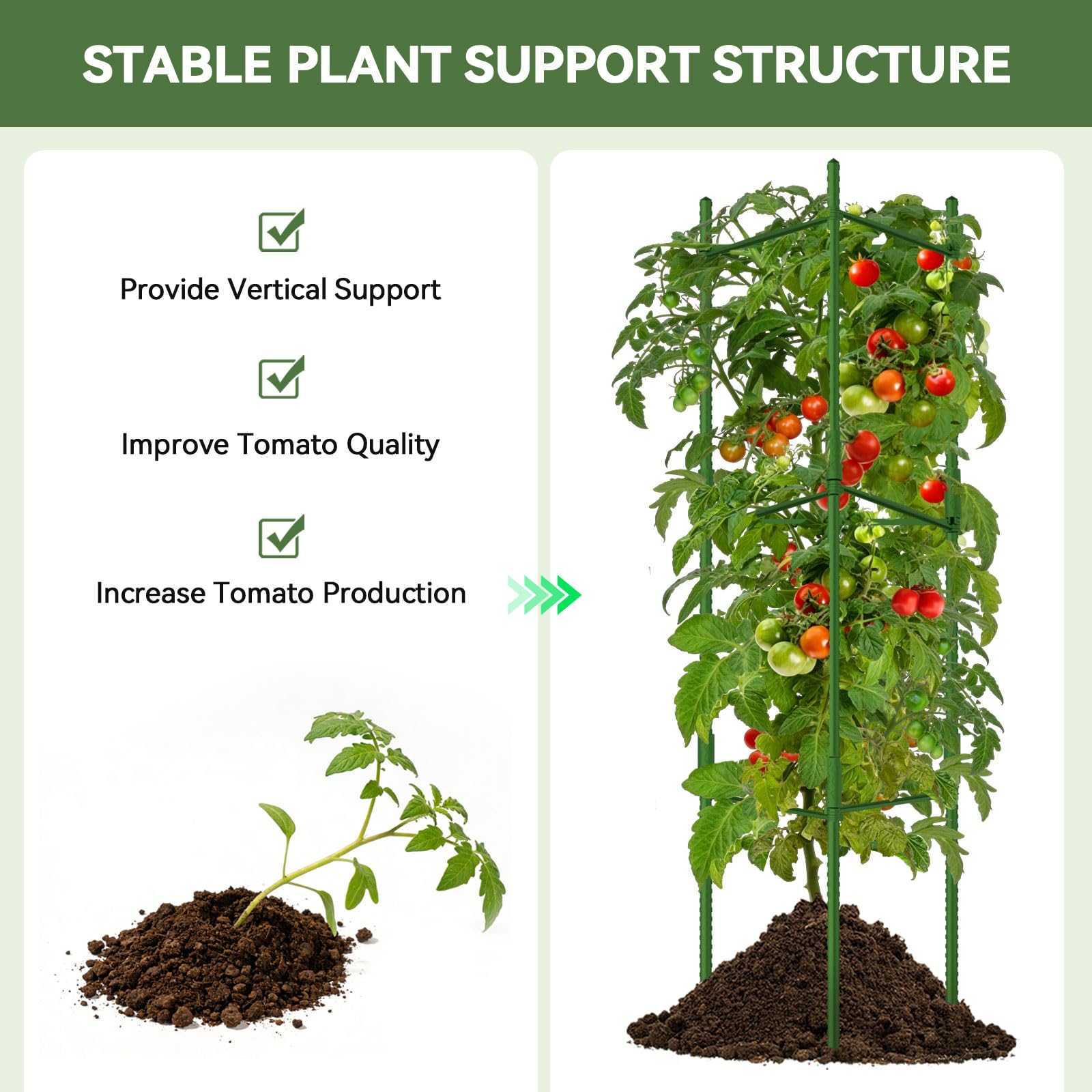 Halatool 6 paquetes de jaulas de tomate, jaula de tomate expandible de hasta 62 pulgadas con 60 lazos giratorios, jaulas de tomate altas con brazos ajustables a presión para verduras (2 hebillas)