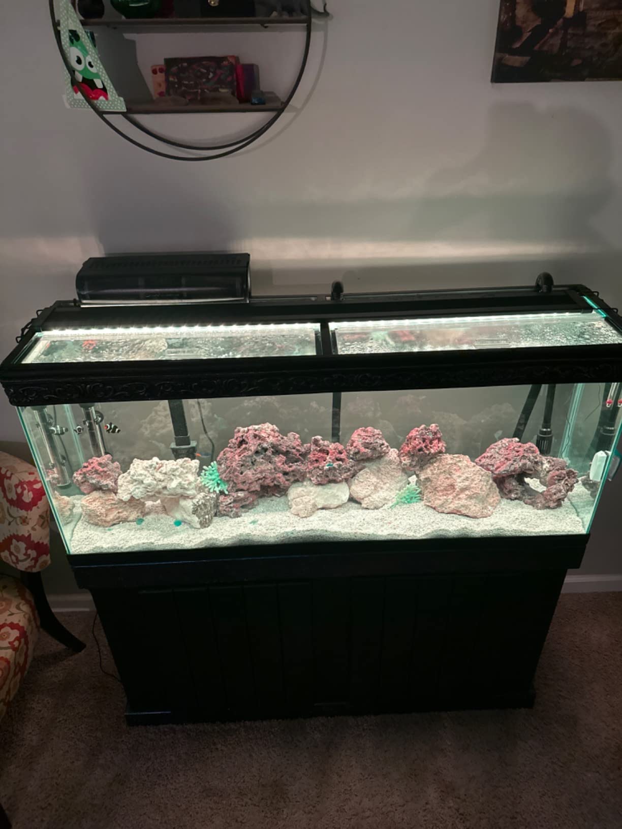 13/mo Finance Glass Canopy Two Piece Set for Aquariums with and