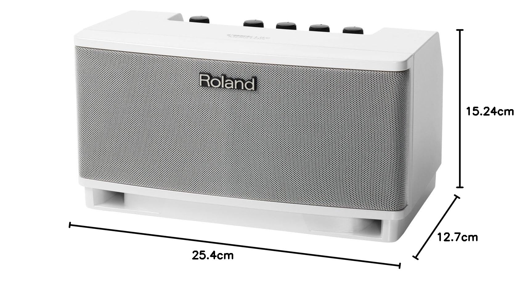 Amazon | Roland ステレオ・モニター・アンプ CUBE Lite MONITOR CUBE